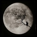 Фотография Мовчан Евгении