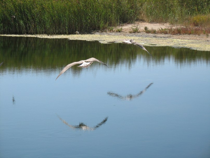 Олеся Мартьянова | Саратов