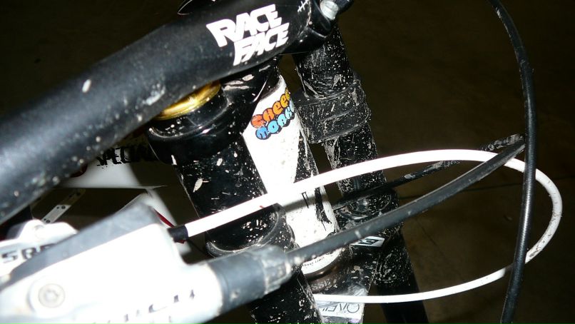 Владимир Шахбазян | Bolzano