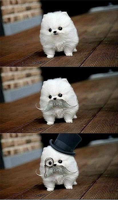 Надя Похвищева | Санкт-Петербург