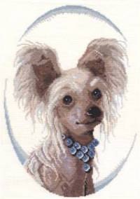 Юля Саржанова | Самара