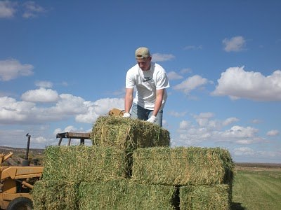Рома Магоцъкий Deskin | Ужгород