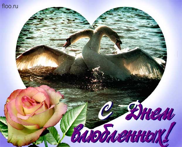 Кристина Псарёва | Орёл