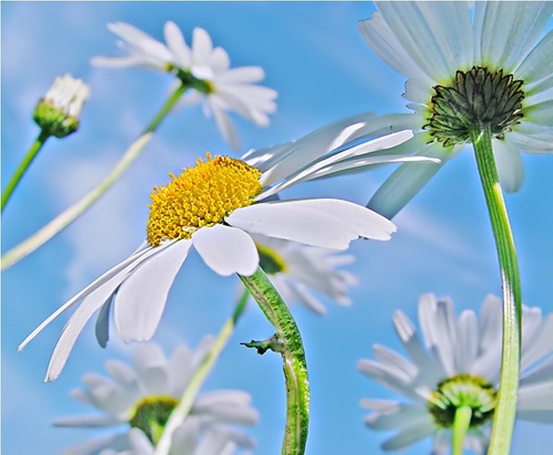 Наталья Наумова | Санкт-Петербург