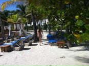 №6, Masha Dregalo, 6.2, Columbia, США