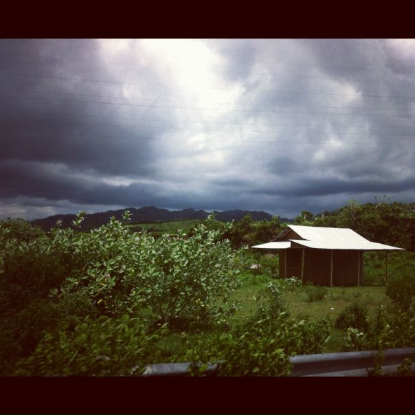 №49, Надежда Ромашкина, Санкт-Петербург, Россия №49, Надежда Ромашкина, Санкт-Петербург, Россия