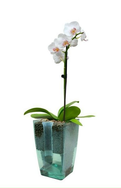 №41, Марина Волкова, 37 лет, Калуга №41, Марина Волкова, 37 лет, Калуга