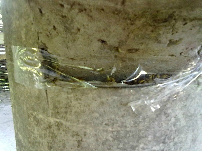 Даниил Подоляк Вадимович | Киев