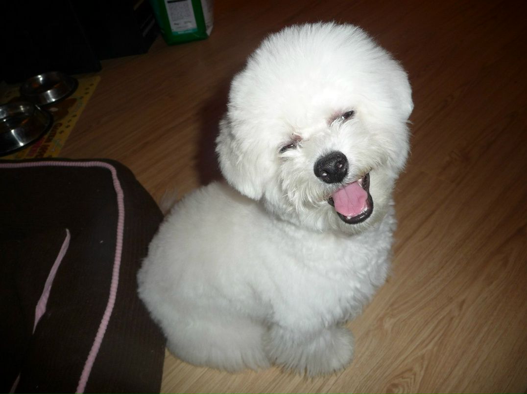 Наталья Волкова | Люберцы