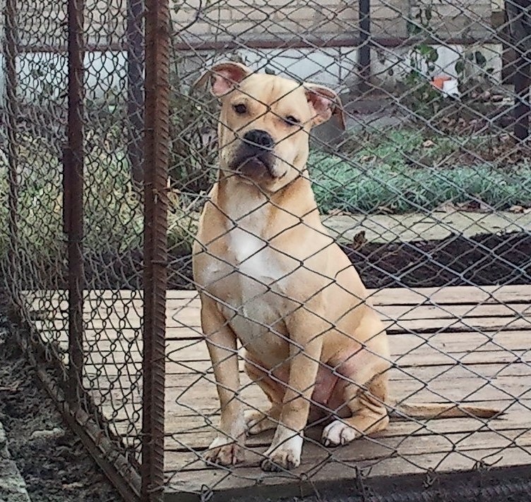 Юлия Вишневская | Горловка