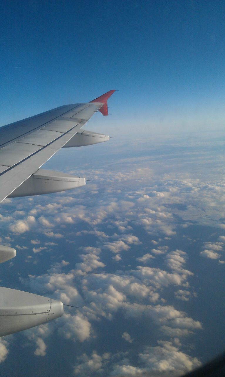 Artyom Nazarov #74 | 