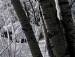 Вікуля Грінчук фотография #28 (источник - https://vk.com/id149542963)
