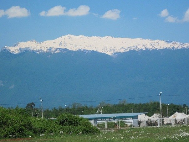 Александр Чертилин Валерьевич | Лесные Поляны