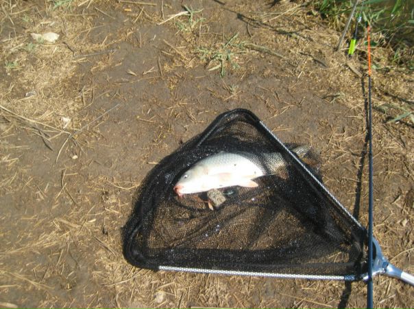 №125, Жорж Оглы, Мелитополь №125, Жорж Оглы, Мелитополь