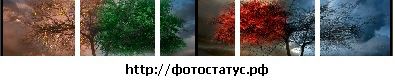 Фотография Александра Слуцкер