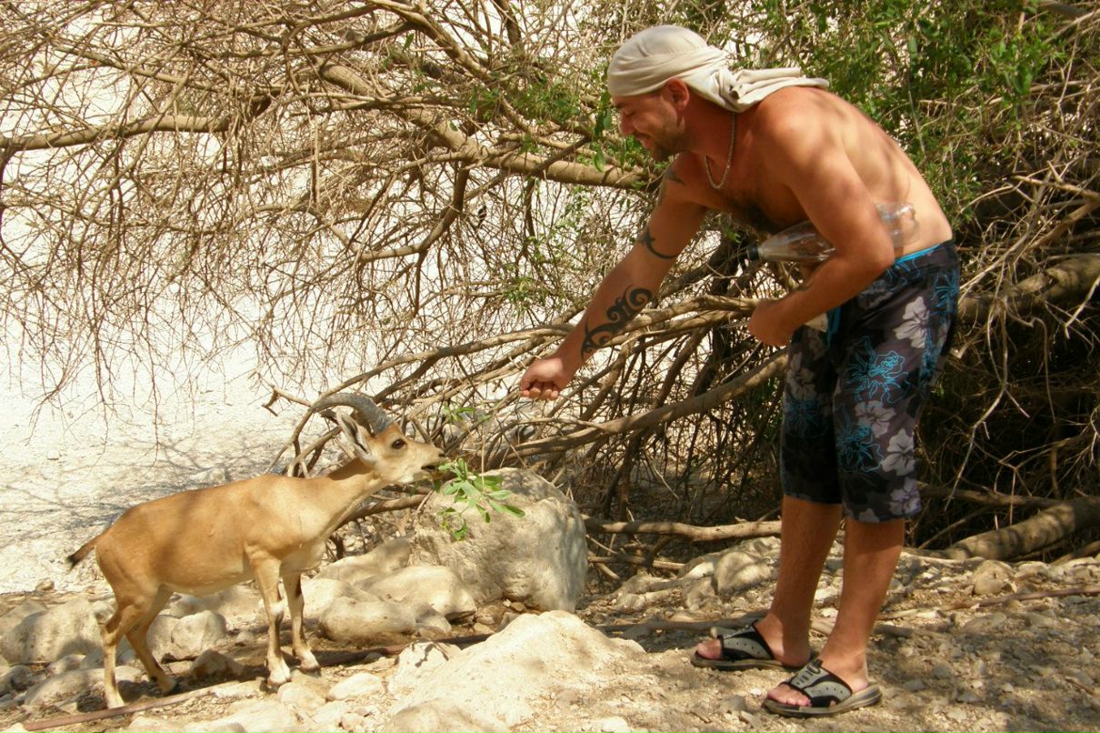 Dima Krok | Тель-Авив