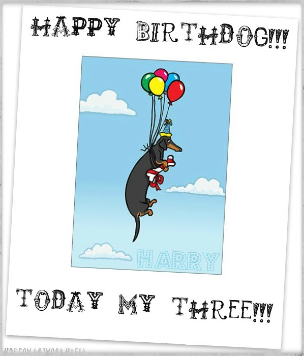 Alexander Babakov | Москва