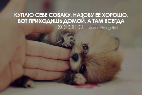 №58, Светлана Артеменко, 34 года, Одесса №58, Светлана Артеменко, 34 года, Одесса