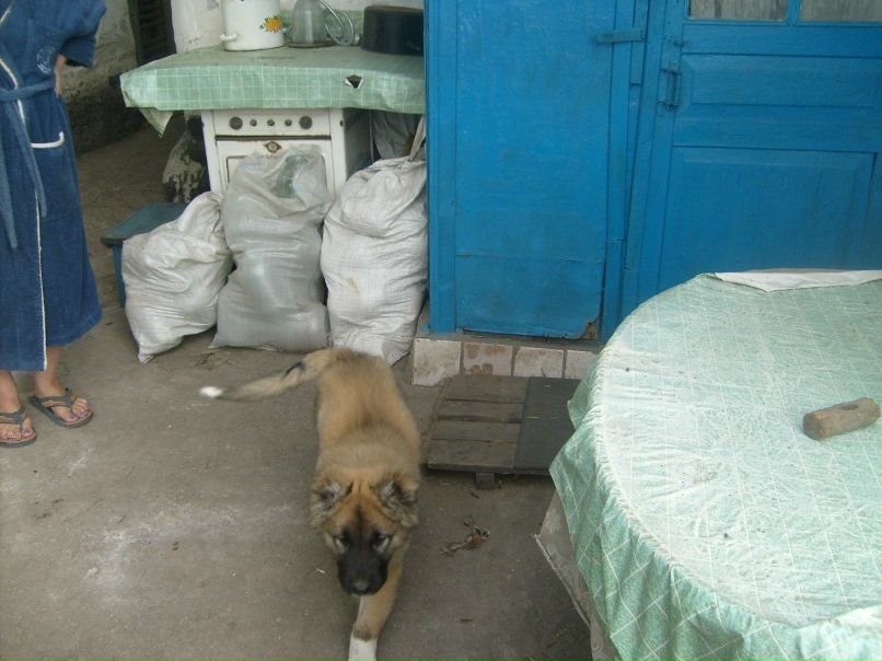 Brain Oconer | Днепр (Днепропетровск)