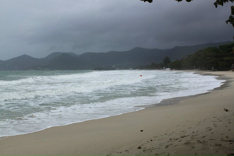 Анна Веселова | Москва