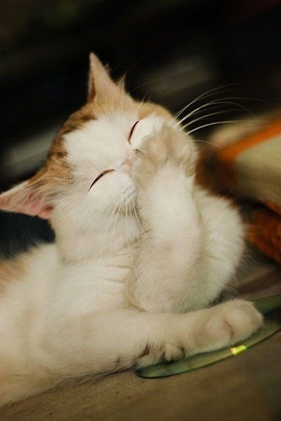 Саяна Биликтуева | Иркутск