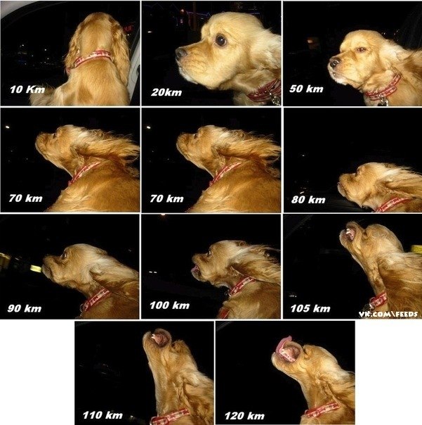 Александра Голикова | Калуга