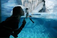 Фотография Яночка Киндеева