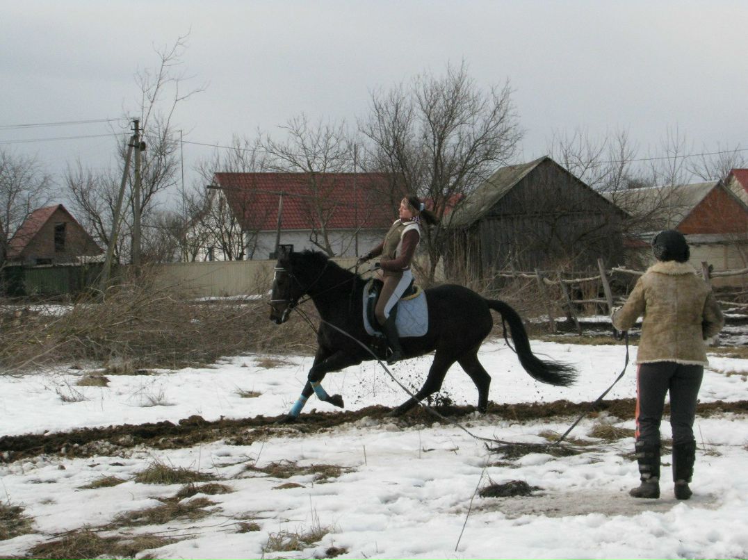 Diana Kalischuk Di-Phoenix | Киев