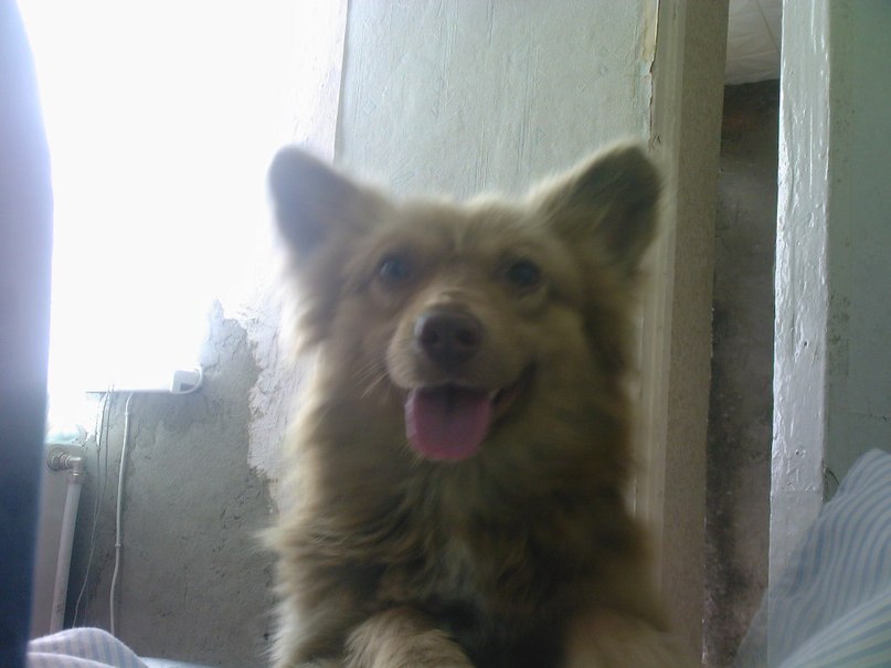 Валерия Канькова | Кишинев