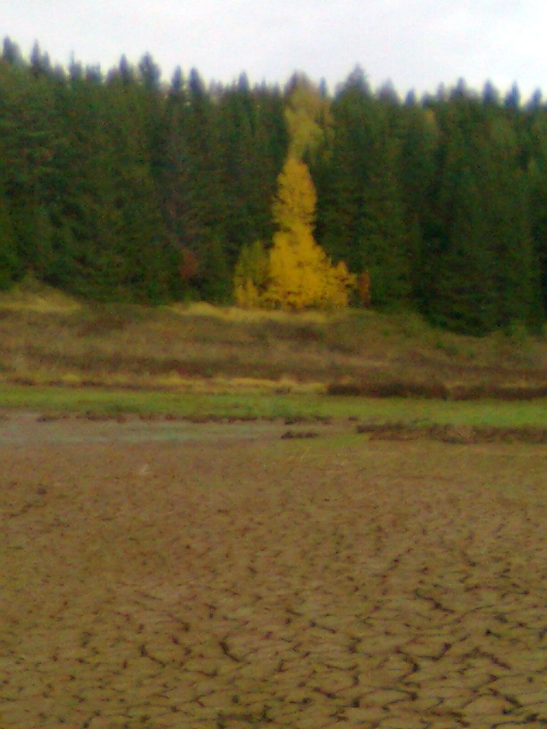 Иван Чигарев | Пермь