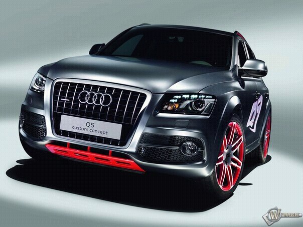 Дина Федык | 