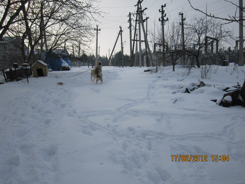 Лёня Бондаренко | Доманевка