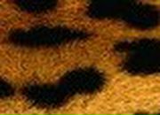 Дмитрий Киреев | Удачный