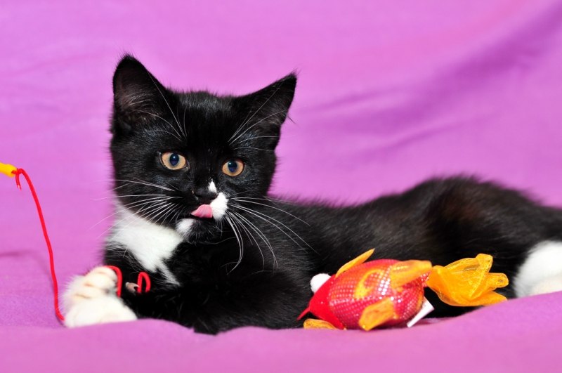 Оля Гривняшкина | Дедовск