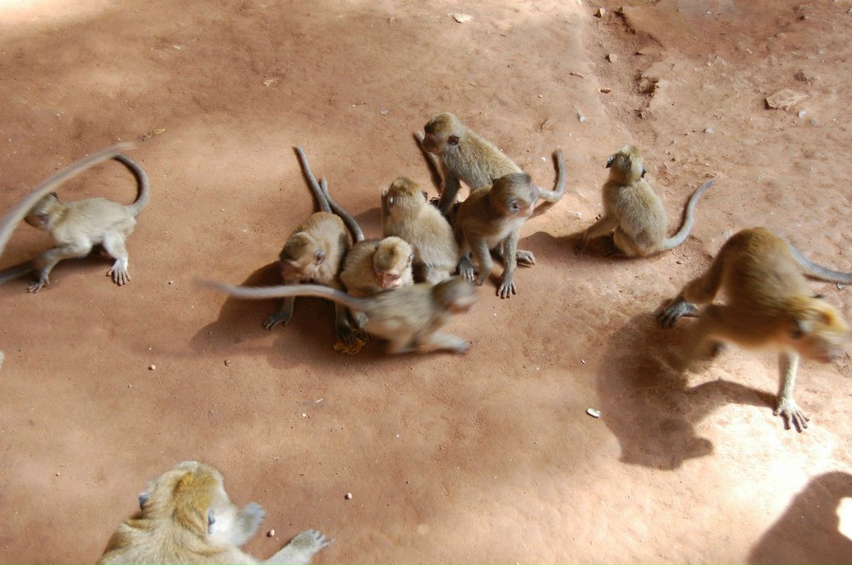 Helen Zemskova | Санкт-Петербург