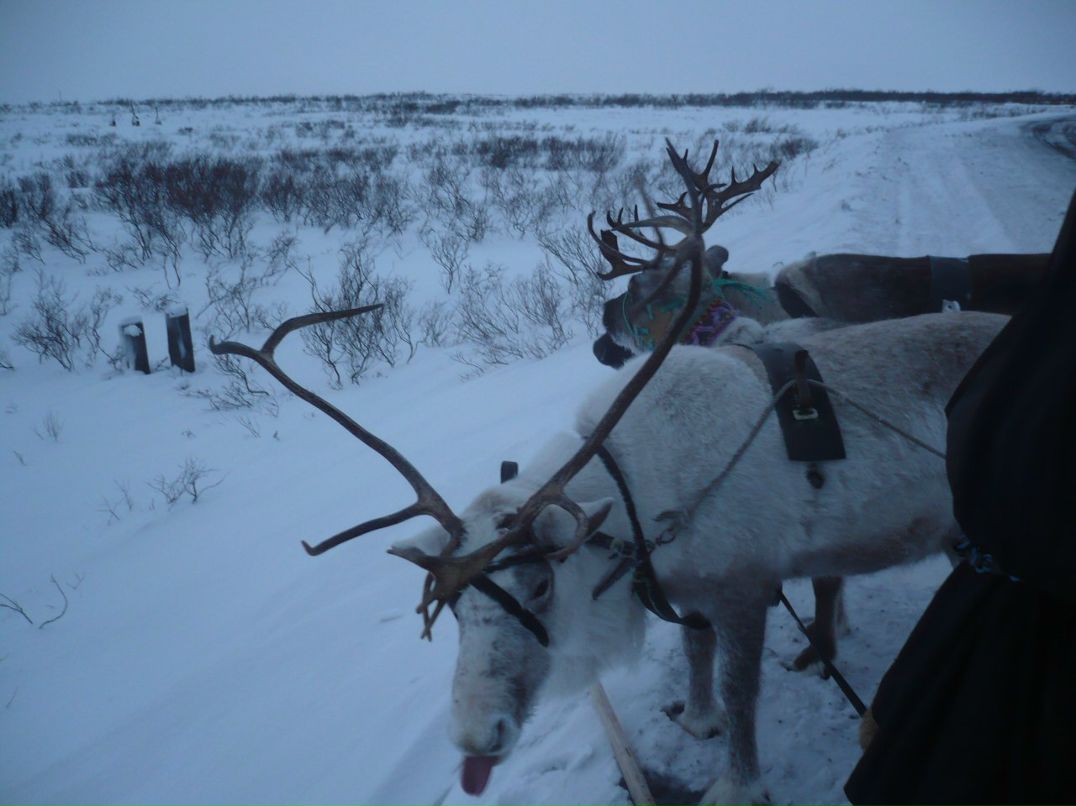 Рома Гришаев | Тюкалинск