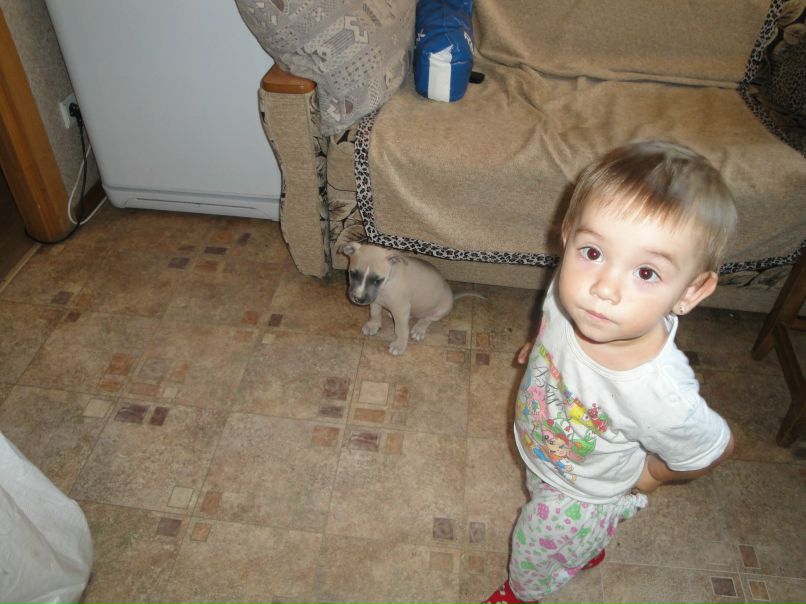 Алексей Пахомов | Новосибирск