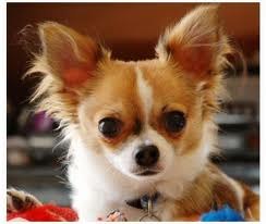 Катя Сарапова | Таллин