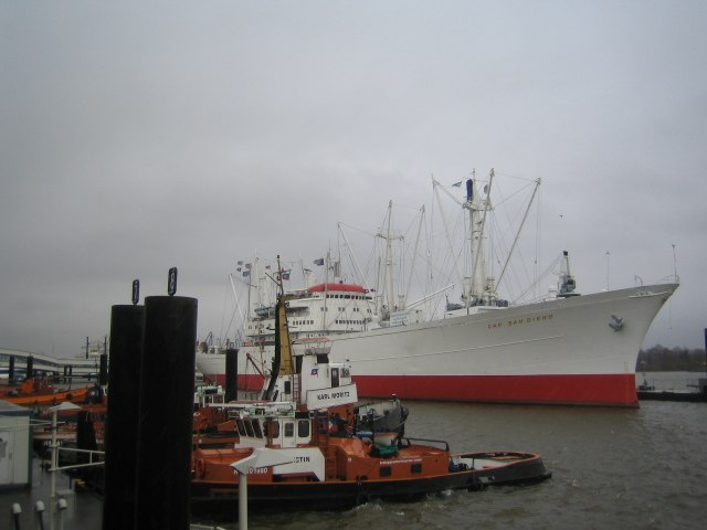 Елена Соломонова | Санкт-Петербург