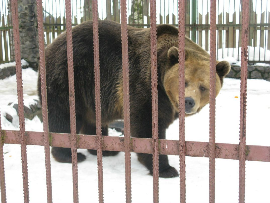 Жека Ромашев | Санкт-Петербург