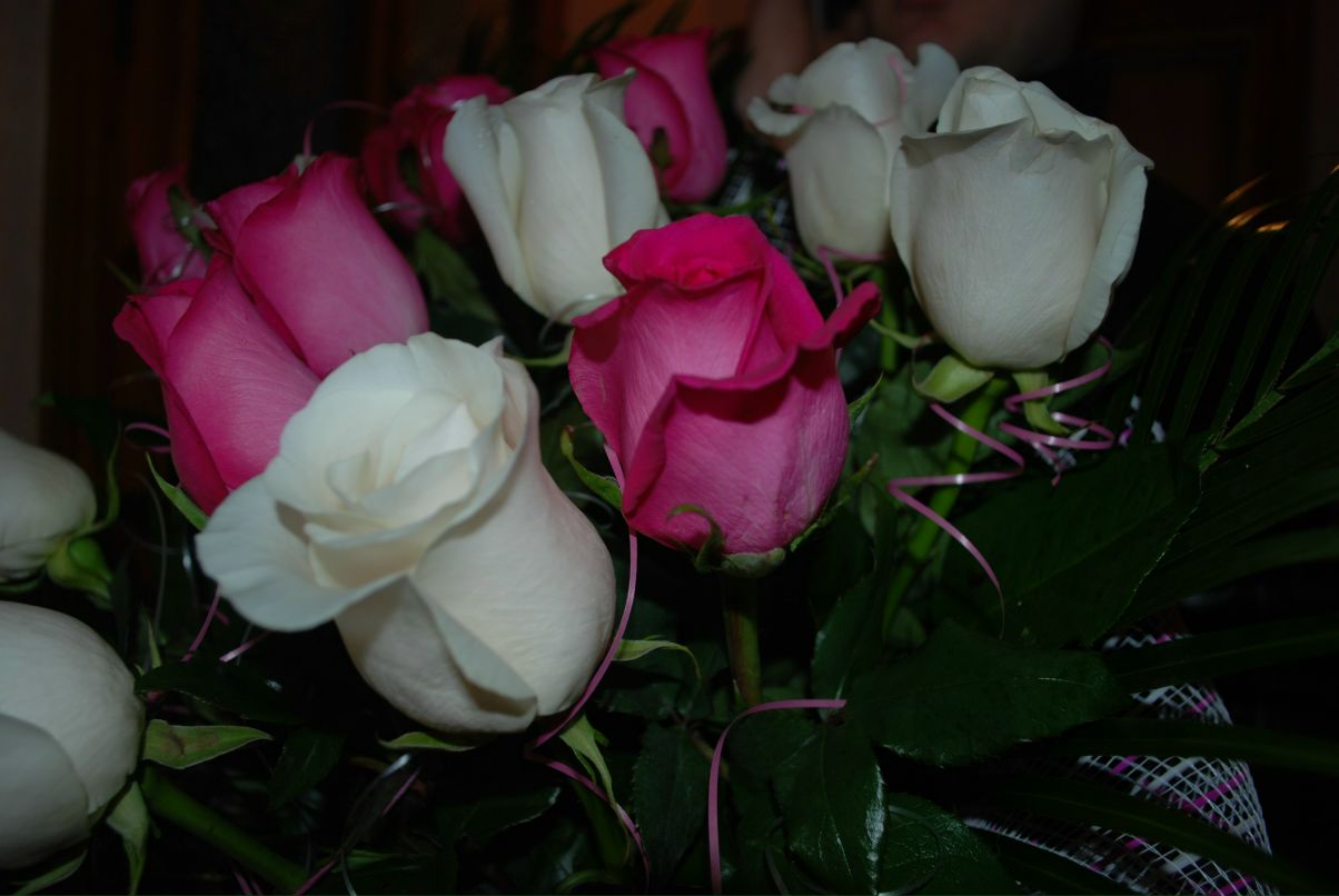 Юлия Барановская | Николаев