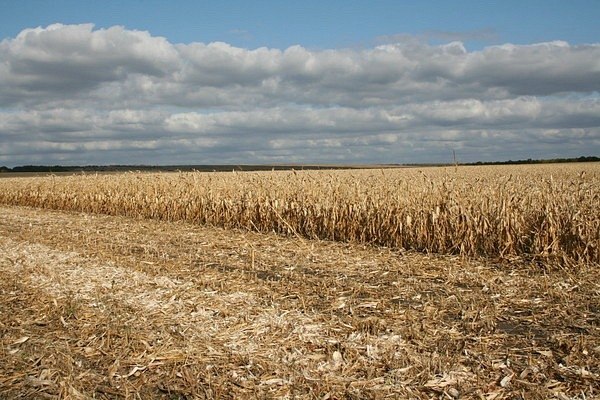 Денис Карасев | Чертково