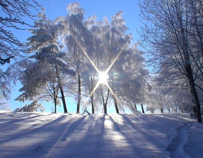 Алёна Дмитриева | Великий Новгород