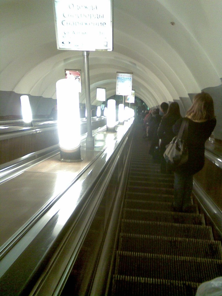 Дмитрий Криничный | Мурманск