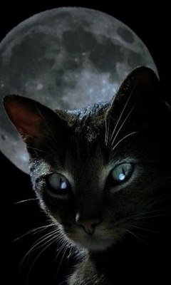 Ирина Войтюк | Нижневартовск