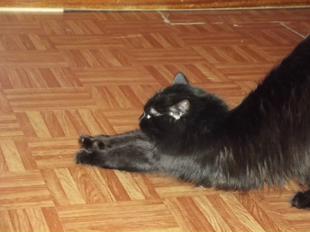 Евгений Клец | Новосибирск