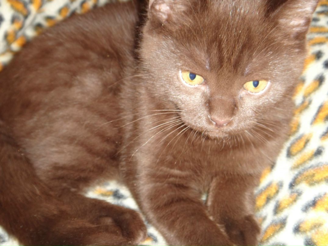 Ольга Сидорова | Санкт-Петербург