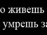 Марина Алчинова | Новосибирск