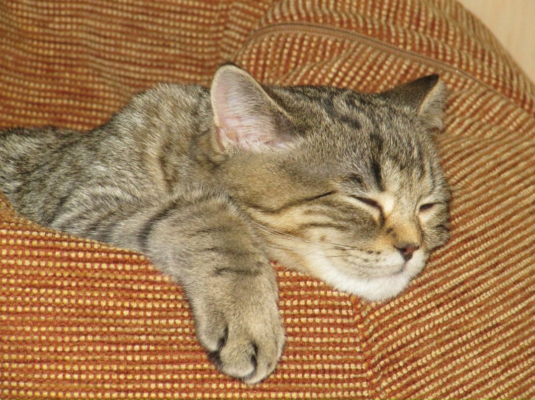 Вероника Губанова | Новокузнецк