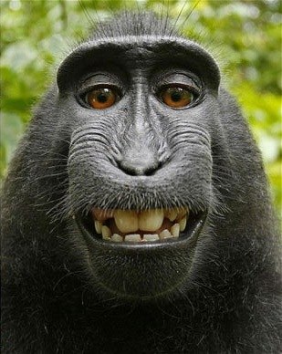 Мирей Раевская | Москва